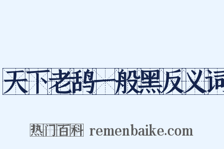 天下老鸹一般黑反义词是什么意思的图片